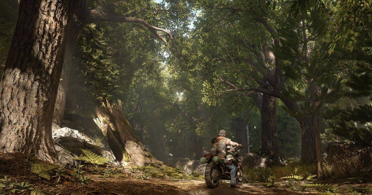 Days Gone подробности