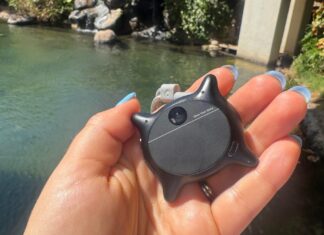 Kamera AI Berbentuk Anak Kucing: Pandangan Baru tentang Teknologi yang Dapat Dipakai