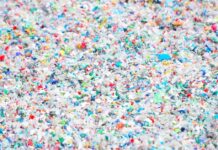 Strach przed mikroplastikami: naukowcy kwestionują powszechne twierdzenia na temat plastiku w ludzkim ciele