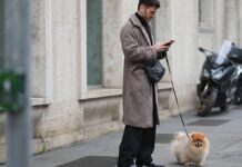 Запуск AI-Ассистента для Здоров’я Собак: Fi Intelligence Націлений на Розширення Можливостей Власників