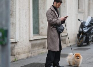 Lancement d’un assistant de santé pour chiens alimenté par l’IA : Fi Intelligence vise à responsabiliser les propriétaires d’animaux de compagnie