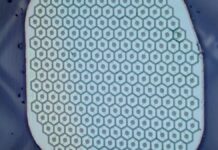 За межами електродів: Science Corp. готується до випробувань біогібридного нейрокомп’ютерного інтерфейсу