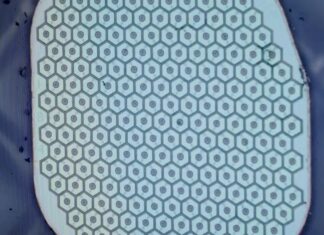 Beyond Electrodes: Science Corp. se připravuje na testování biohybridního rozhraní mozek-počítač