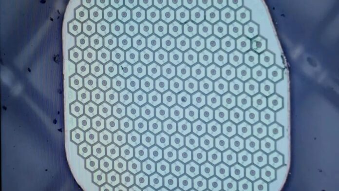 d5a09516-1c3d-4055-a877-4ec8ca6be400